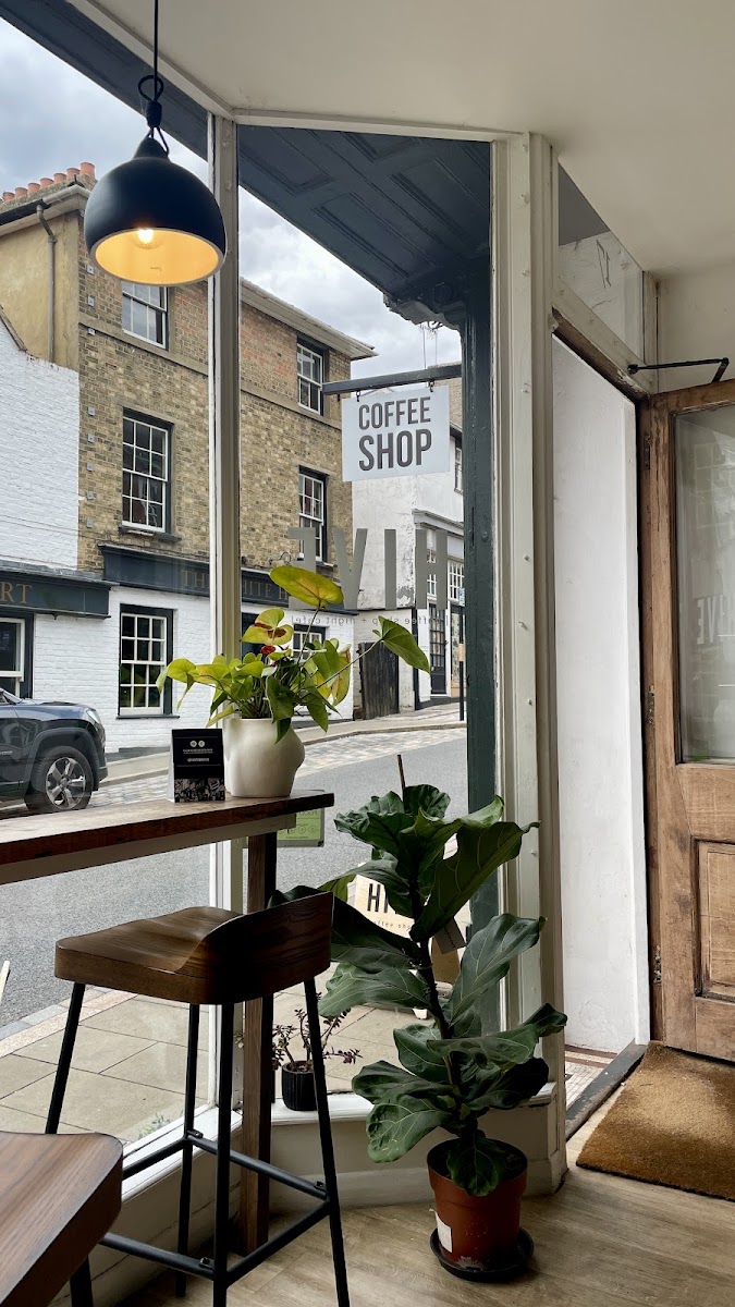 Hive Coffee Shop Photos 2
